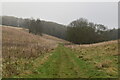 Footpath in dry valley