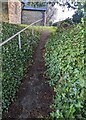ST3789 : Path ascending to the churchyard, Langstone by Jaggery