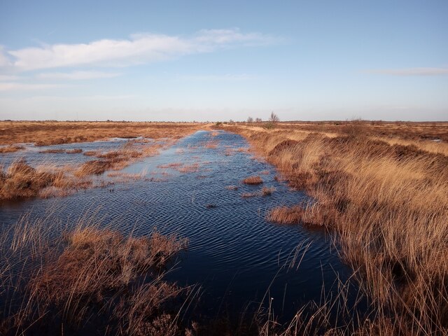 Ditch and bank © Graham Cole cc-by-sa/2.0 :: Geograph Britain and Ireland