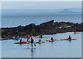 NO5704 : Canoeists at Cardinal's Steps, Anstruther Easter by Mat Fascione