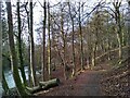 Footpath beside the River Kelvin