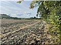 Ploughed field, Aston Rowant