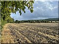 Ploughed field, Aston Rowant