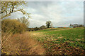 Field by Manor Farm