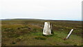 SE1201 : Trig Point at Dead Edge End by Colin Park