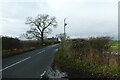 Towards Chequer Hall Cottage