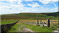 Bridleway, W of Knotbury