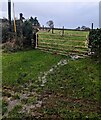 ST4088 : Muddy approach to a field gate, Wilcrick by Jaggery