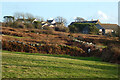 Pasture and houses, Carnkie, Wendron