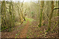 Footpath near Manor Farm