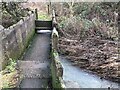 A curious footbridge