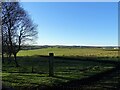 NZ1049 : Looking SW from Knitsley Lane by Robert Graham