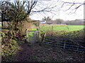 Llwybr i Gaerfyrddin / Path to Carmarthen