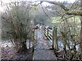 Pontdroed yn rhychwantu nant / A footbridge spanning a stream