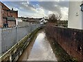 Sandyford Brook