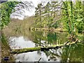 Lake near Little Hallam