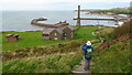 Descending on path leading towards Whitehaven Harbour