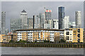 Isle of Dogs from Payne