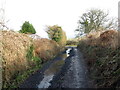 Llwybr yn agosau at yr heol / Path approaching the road