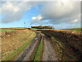 Ffordd fynedfa a llwybr cyhoeddus / Access road and public footpath