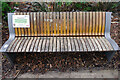 Chatty Bench