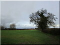 Autumn sown crop near Hope House School