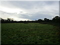 Grass field off Barnby Road