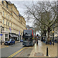 Birmingham: bus stops on Colmore Row