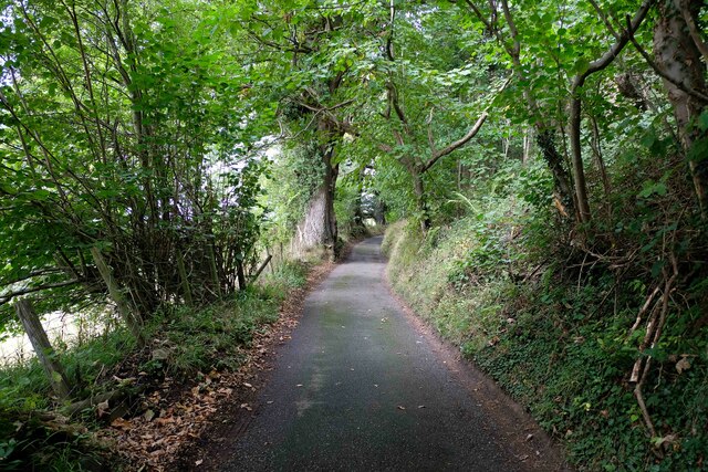 Offa's Dyke Path at Ty Brickly