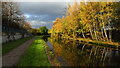 Autumn colours on Trent & Mersey Canal, NE of A50 & A500 junction, Stoke-on-Trent