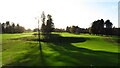 Low sunlight across Prestbury Golf Course