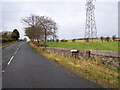 J2978 : The Ligoniel Road, Belfast by Rossographer