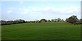 Crop field east of Albrighton in Shropshire