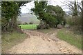 A junction of bridleway