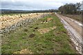 Rebuilt drystone wall