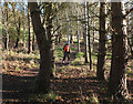 Path from Ladhope, Galashiels