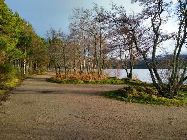Shore of Loch Morlich