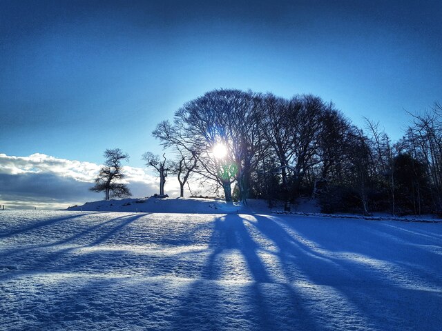 Sun & fresh snow, Broomy Hill