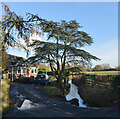 A drain by Bilton Lane, Harrogate