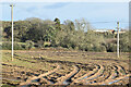 Muddy tracks in field at Timsbury