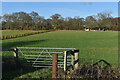 Field entrance beside the Stockbridge Road at Timsbury