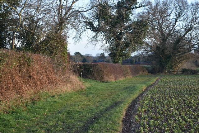 Monarch's Way path towards Braishfield © David Martin :: Geograph ...