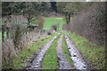 Byway in valley bottom at Furzedown