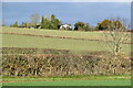 Uphill view towards Laziland Farms