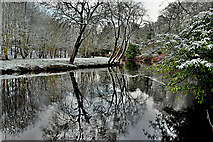 H4772 : Winter reflections on the Camowen River by Kenneth  Allen