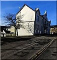 Deciduous tree and its shadow, Blaenavon