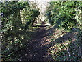 On the former track-bed heading to Bird