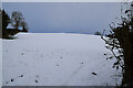 A snow covered field, Faccary