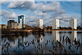 TQ3287 : Woodberry Wetlands Nature Reserve by Jim Osley