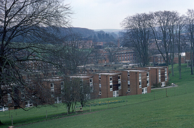 University of Sussex (14)